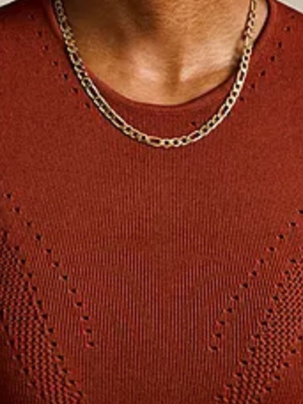 Rust Crewneck Knit Sweater for Women: WHBM